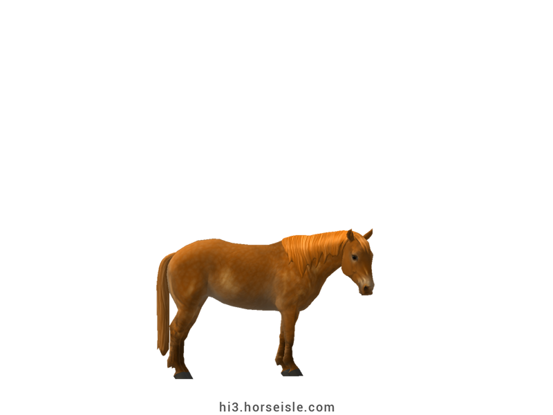 Skyros Pony Linebacked Sorrel Coat